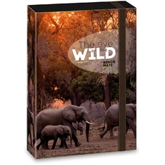 Ars Una The eyes of the wild elephant 5217 A4 füzetbox