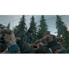 Days Gone PS4 játékszoftver