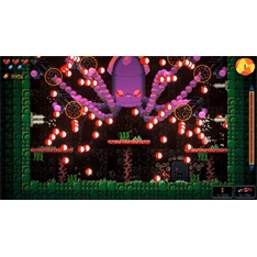 Enter/Exit the Gungeon PS4 játékszoftver