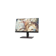 LENOVO ThinkVision 61FEMAR6EU T22i-20 IPS monitor