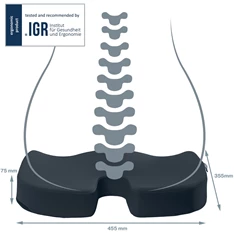 Leitz COSY Ergo bársony szürke ortopédiai ülőpárna