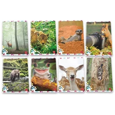 Pigna Animal Cute and Funny A4 tűzött 50lapos kockás füzet