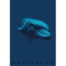 Pigna Monocromo Blue A4 tűzött 38 lapos vonalas füzet