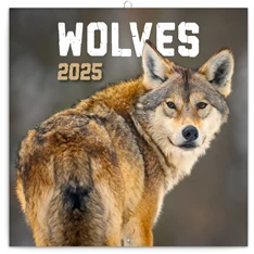 Realsystem 2025 Wolves 6097-WS falinaptár